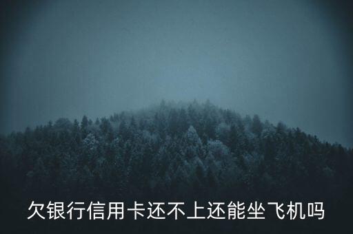 欠银行信用卡还不上还能坐飞机吗
