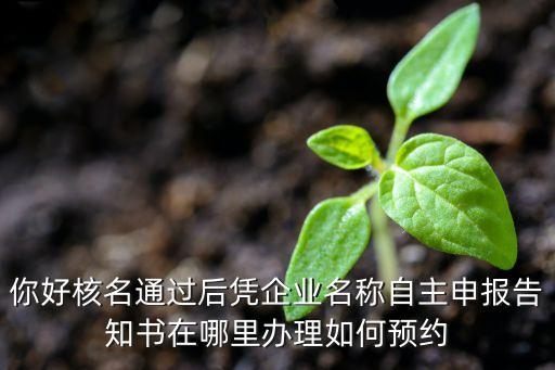 你好核名通过后凭企业名称自主申报告知书在哪里办理如何预约