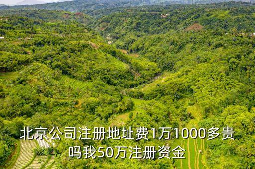 北京公司注册地址费1万1000多贵吗我50万注册资金