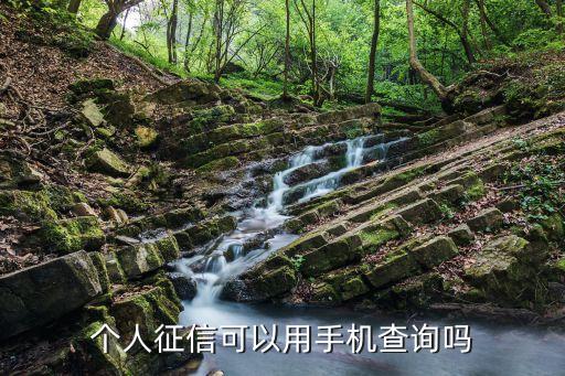 个人征信可以用手机查询吗