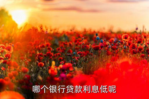 哪个银行贷款利息低呢