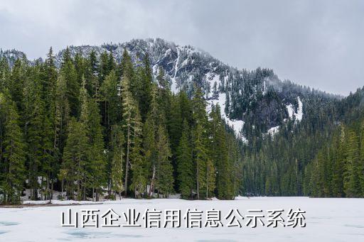 天眼查官网在线查询新嘉敏，成都企业信息查询