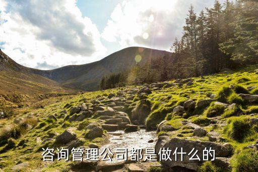 咨询公司是做什么的，咨询管理公司都是做什么的