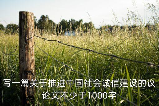 写一篇关于推进中国社会诚信建设的议论文不少于1000字