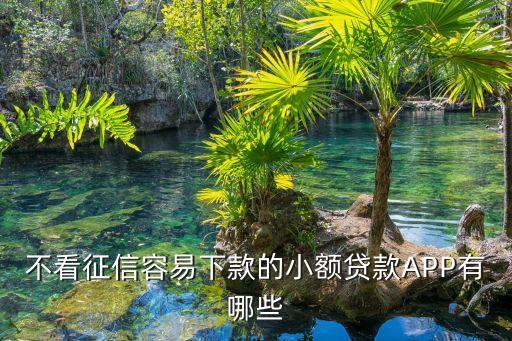 无视当前逾期无视征信的借款口子，不看征信的网贷