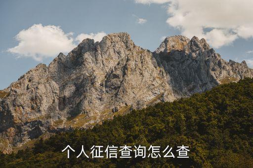 个人征信查询怎么查