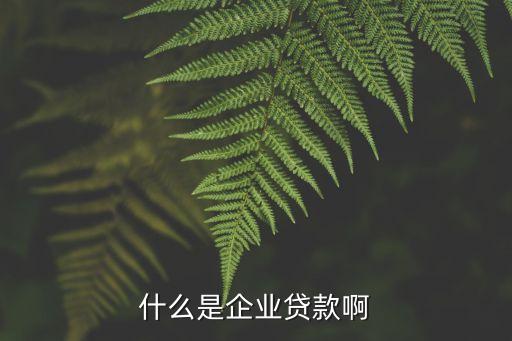 什么是企业贷款啊