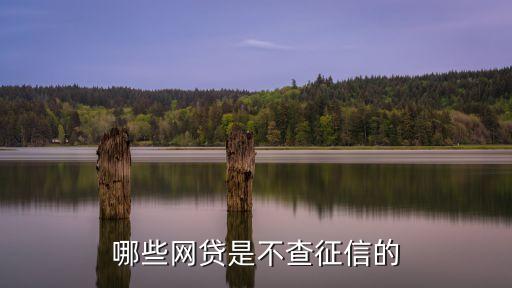 哪些网贷是不查征信的