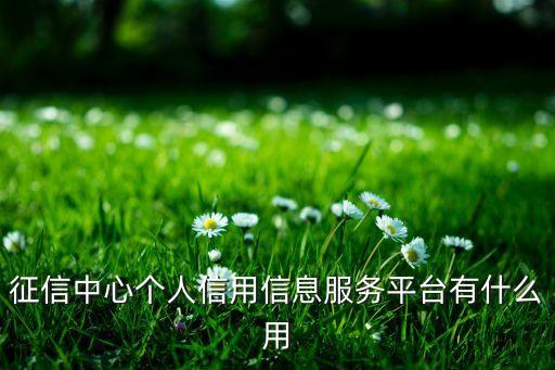 征信服务大厅是干什么的，征信中心个人信用信息服务平台有什么用