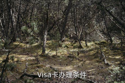 Visa卡办理条件