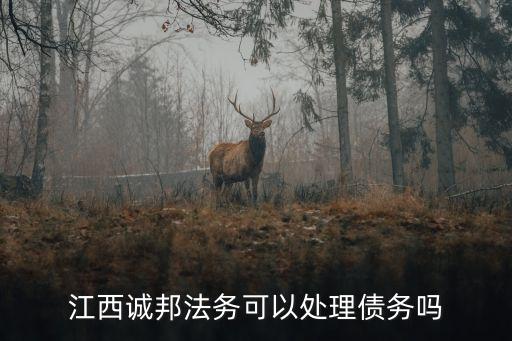 江西诚邦法务可以处理债务吗