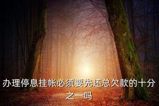 办理停息挂帐必须要先还总欠款的十分之一吗