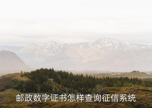 邮政银行怎么查征信，邮政数字证书怎样查询征信系统