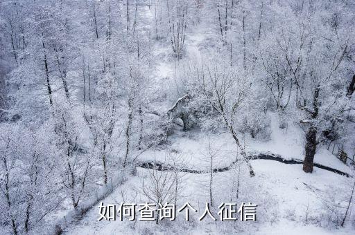 如何查询个人征信