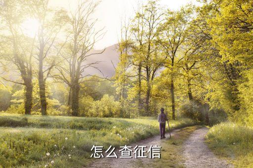 怎么才能查征信报告，个人征信怎么查