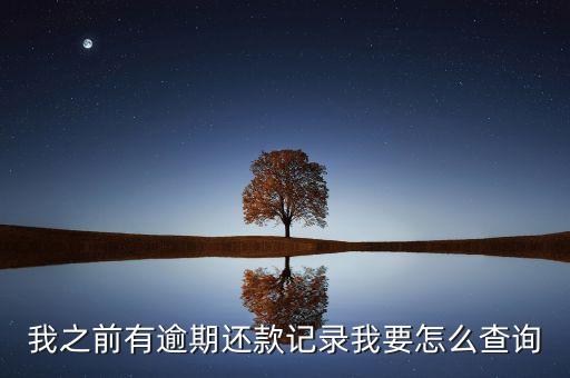 怎么查询逾期记录，逾期明细怎么查