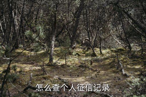 怎么查个人征信记录