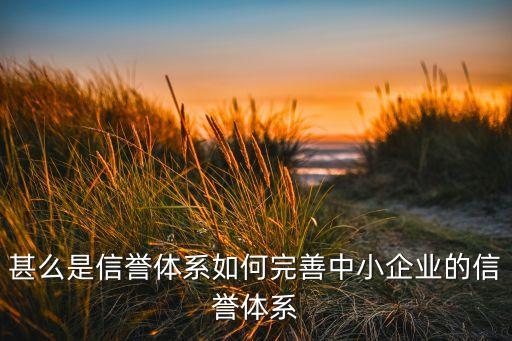 甚么是信誉体系如何完善中小企业的信誉体系