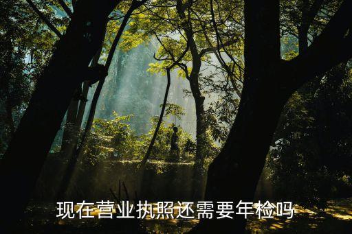 营业执照现在需要年审吗，营业执照要年检吗