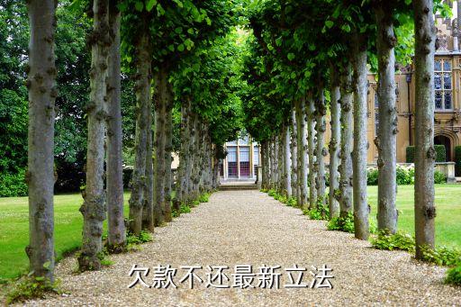 欠钱不还2021新执行办法，欠债不还最新立法