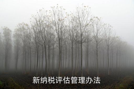 新纳税评估管理办法