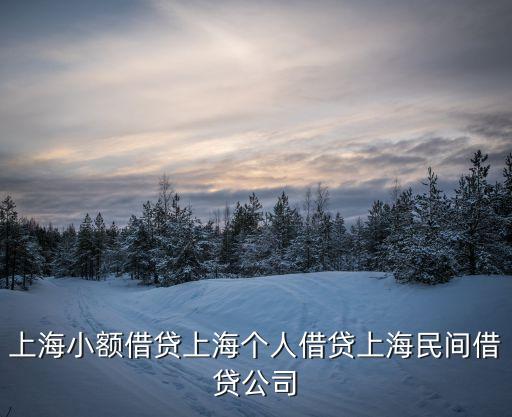 上海小额借贷上海个人借贷上海民间借贷公司