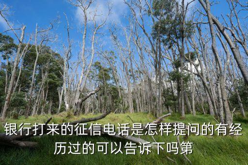 征信中心个人信用电话咨询，查询个人信用度电话是什么