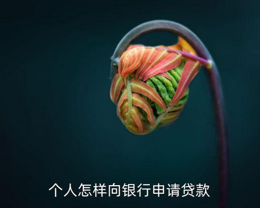 个人怎么能在银行贷款，个人怎样向银行申请贷款