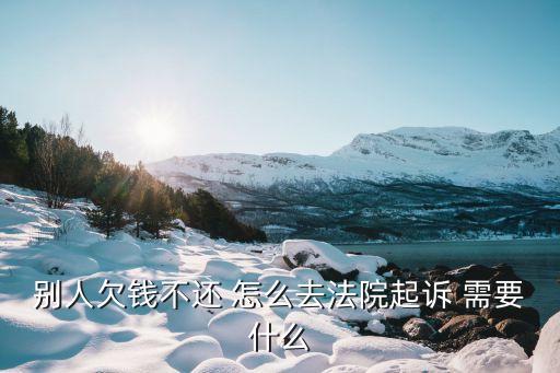 别人欠钱不还 怎么去法院起诉 需要什么
