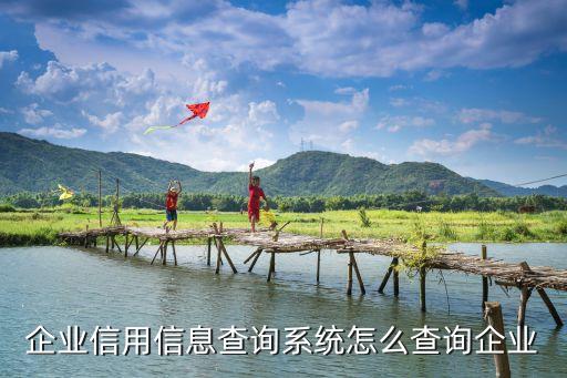 信用信息查询，企业信用信息查询系统怎么查询企业