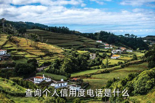 查询个人信用度电话是什么