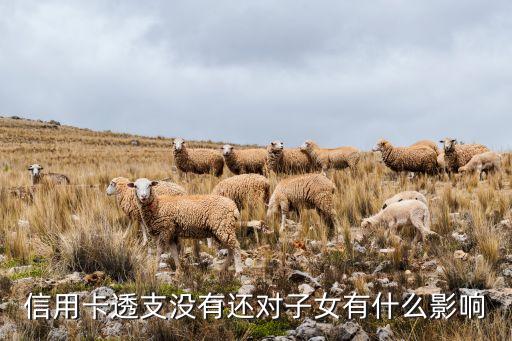 信用卡透支没有还对子女有什么影响