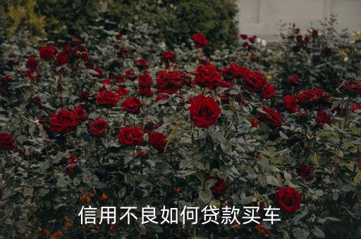 信用不良如何贷款买车
