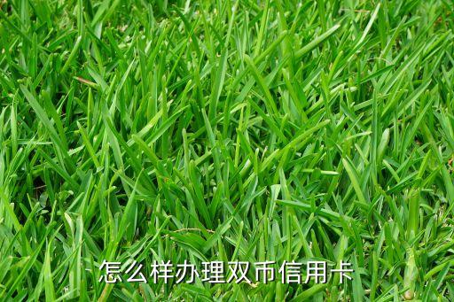 怎么样办理双币信用卡