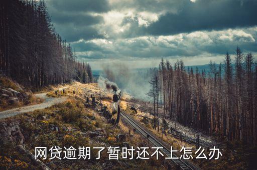 网贷逾期了暂时还不上怎么办