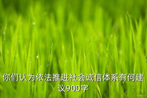 你们认为依法推进社会诚信体系有何建议900字