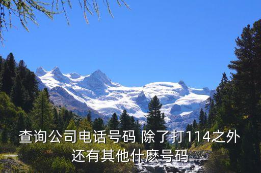 查询公司电话号码 除了打114之外还有其他什麽号码