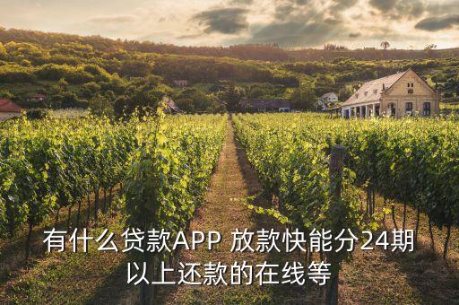 有什么贷款APP 放款快能分24期以上还款的在线等
