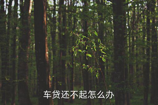 车贷逾期无力还款最佳处理方法，车贷还不起怎么办