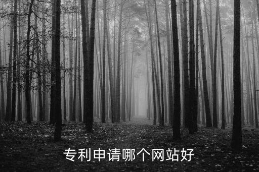 专利申请哪个网站好