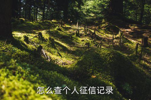 怎么查个人征信记录