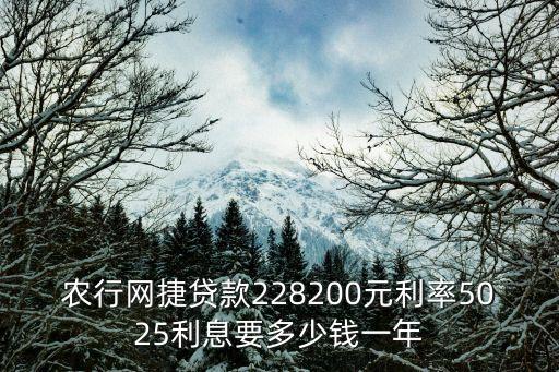 农行网捷贷款228200元利率5025利息要多少钱一年