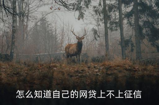 怎么看逾期上没上征信，怎么查支付宝借呗逾期上没上征信