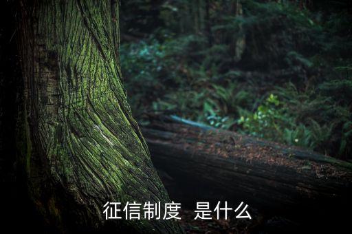  征信制度  是什么