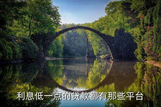 利息低一点的贷款都有那些平台