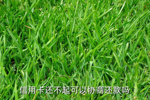信用卡还不起可以协商还款吗