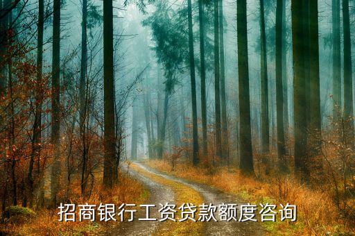 招商银行贷款咨询贵州，六盘水招商银行的地址