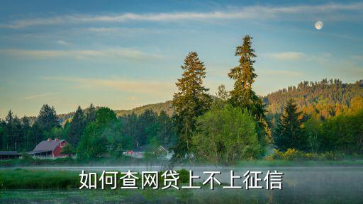 怎么能查到自己的网贷上没上征信，怎么看网贷上不上征信