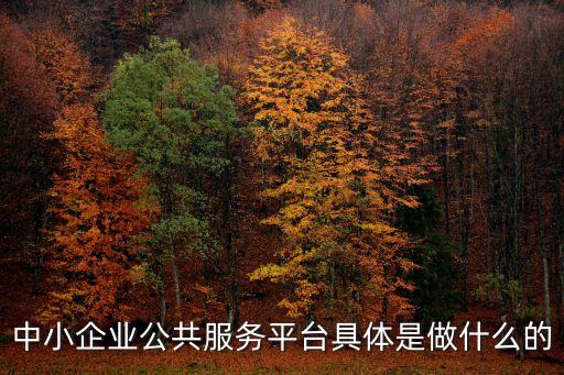 企多多中小企业服务平台，中小企业服务公共平台怎样为中小企业服务的