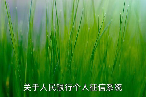 关于人民银行个人征信系统